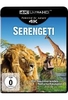 Serengeti (4K Ultra HD)