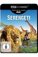 Serengeti (4K Ultra HD)