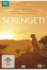 SERENGETI