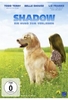 Shadow - Ein Hund zum Verlieben