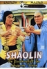 Shaolin - Die Bruderschaft der schwarzen Spinne