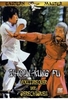 Shaolin-Kung Fu - Vollstrecker der Gerechtigkeit