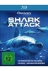 Shark Attack