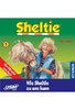 Sheltie 1 - Wie Sheltie zu uns kam
