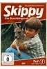 Skippy - Das Buschkänguruh - Teil 1 [4 DVDs]