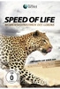 Speed of Life