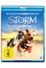 Storm - Sieger auf vier Pfoten