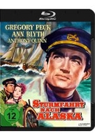 Sturmfahrt nach Alaska (The World in His Arms)