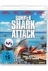 Summer Shark Attack