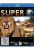Super 7 - Wilder Planet Erde: Afrika