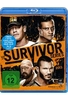 Survivor Series 2013