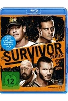Survivor Series 2013