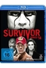 Survivor Series 2014