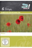 Symbiosen der Mohnblume