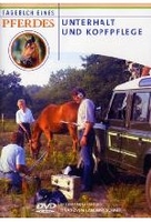 Tagebuch eines Pferdes - Unterhalt & Kopfpflege