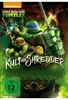 Tales of the Teenage Mutant Ninja Turtles: Der Kult von Shredder