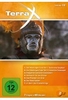Terra X - Volume 12 [2 DVDs]