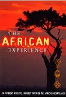The African Experience