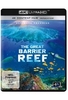 The Great Barrier Reef - Ultimate Freediving (4K Ultra HD)