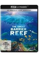 The Great Barrier Reef - Ultimate Freediving (4K Ultra HD)