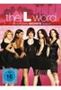 The L Word - Season 6 [3 DVDs]