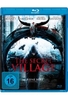 The Secret Village