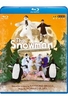 The Snowman - The Stage Show for Children