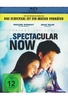 The Spectacular Now - Perfekt ist jetzt