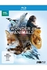The Wonder of Animals - Tierische Überlebenskünstler [2 BRs]