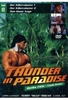 Thunder in Paradise Vol. 8