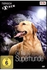 Tierisch Extrem Vol. 3: Die Top 10 Superhunde