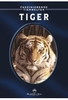 Tiger - Faszinierende Tierwelten