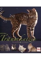Traumkatzen - Alle Rassen - Alle Farben