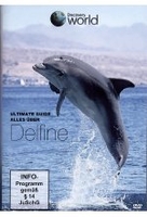 Ultimate Guide - Alles über Delphine - Discovery World