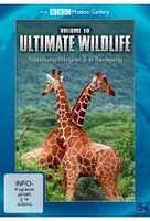 Ultimate Wildlife Vol. 10 - Anpassungsfähigkeit & In Bewegung