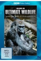 Ultimate Wildlife Vol. 6 - Spielen und Lernen & Erfindungsreichtum