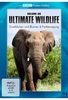 Ultimate Wildlife Vol. 8 - Grasflächen und Blumen & Fortbewegung