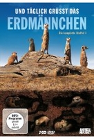 Und täglich grüßt das Erdmännchen - Staffel 1 [2 DVDs]