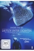 Under the Sea - Lautlos unter Giganten