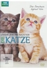 Unser liebstes Haustier - Die Katze