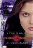 Vampire Academy Band 6 - Schicksalsbande