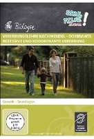 Vererbungslehre nach Mendel