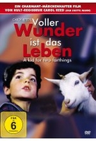 Voller Wunder ist das Leben