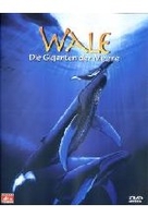 Wale - Giganten der Meere IMAX