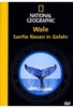 Wale - Sanfte Riesen in Gefahr - National Geogr.