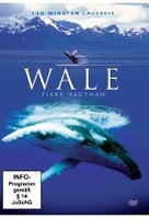 Wale - Tiere hautnah