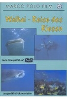 Walhaie - Reise der Riesen
