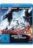 Warbirds - Drachen des Todes