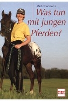 Was tun mit jungen Pferden?