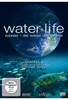 Water Life - Staffel 2 [2 DVDs]